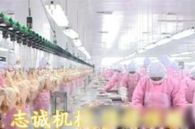 家禽飼養(yǎng)機(jī)械 現(xiàn)代化養(yǎng)殖的科技翅膀