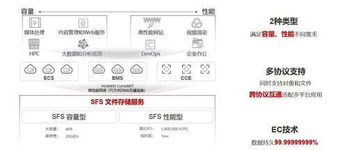 華為云存儲(chǔ) 釋放數(shù)據(jù)價(jià)值，賦能智能未來(lái)